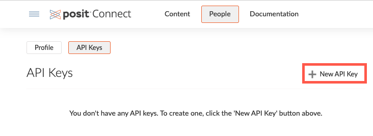 NEW API Key按钮位于页面的右侧
